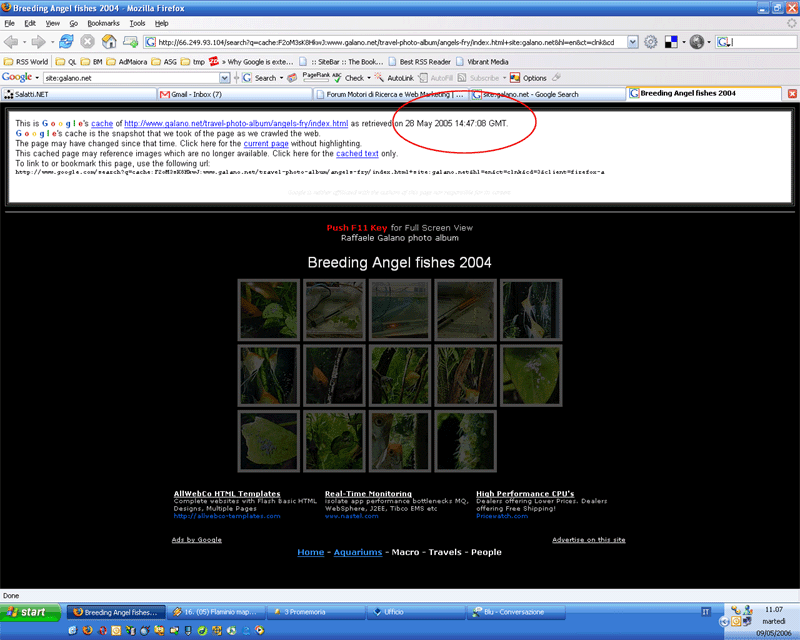 Google Cache