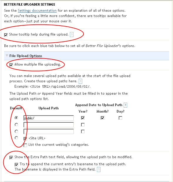 BFU File Upload Options