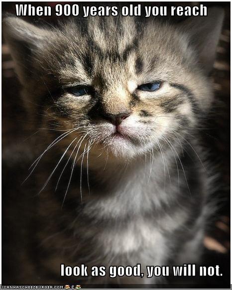 Humorous Pictures