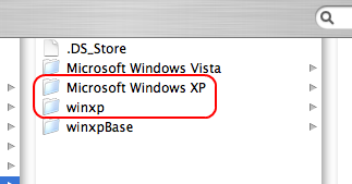 Virtual Machine Parallels